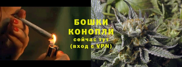 стаф Липки