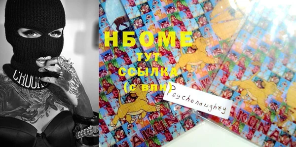 мдпв Лабытнанги