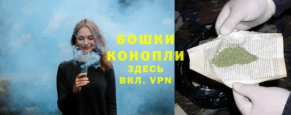 стаф Липки