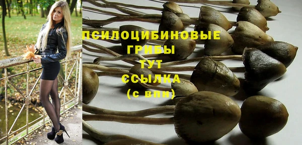 COCAINE Ладушкин