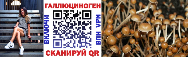 Галлюциногенные грибы Cubensis  Магадан 