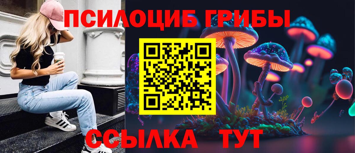 Псилоцибиновые грибы Psilocybine cubensis  Магадан 
