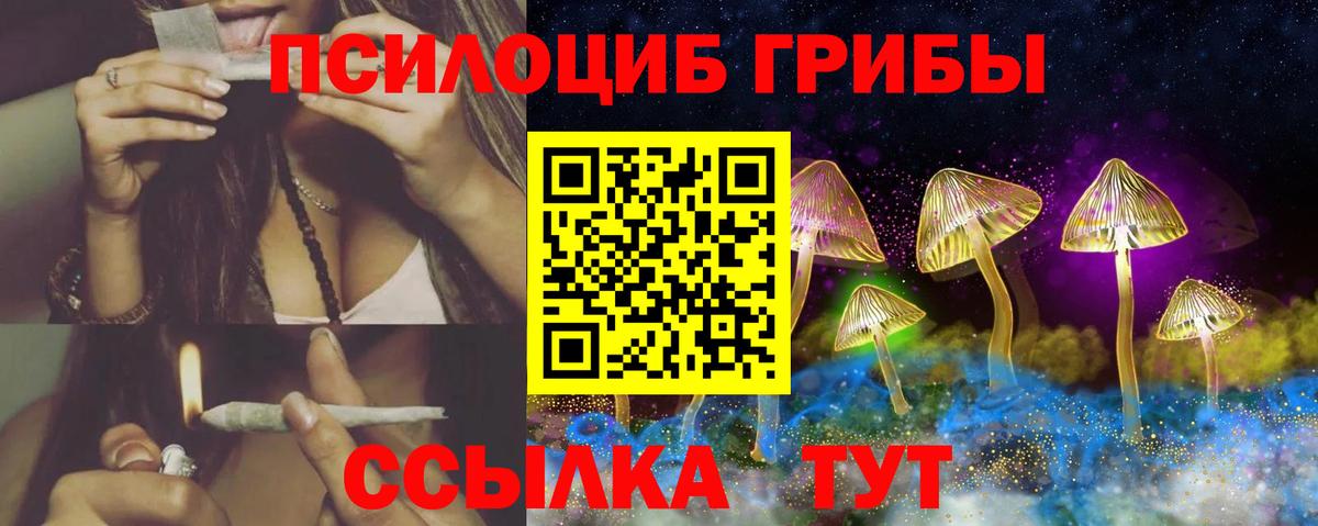 Галлюциногенные грибы Psilocybine cubensis  Вход с VPN  Магадан 